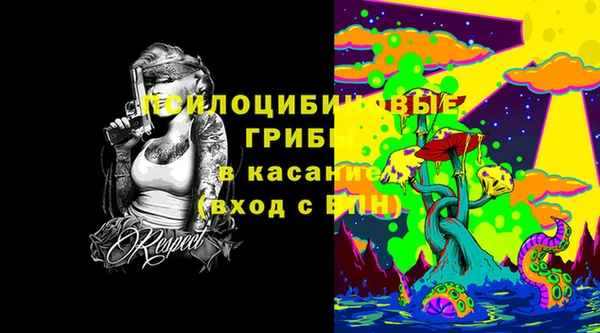 mdpv Михайловск