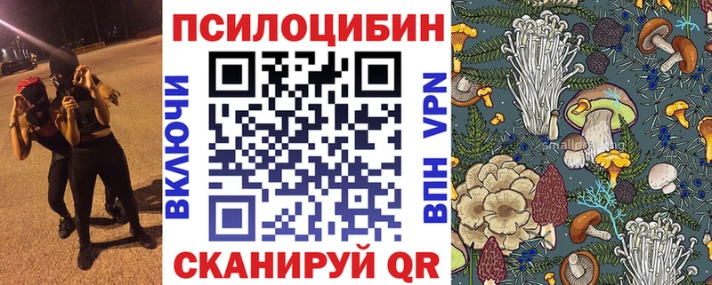 MEGA   Электросталь  Галлюциногенные грибы Cubensis 